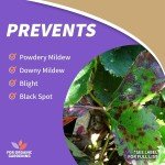 Bonide Captain Jack's 16 oz Copper Fungicide