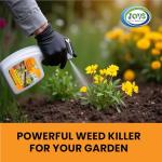 JOVS Ready-to-Use 5L Fast-Acting Weed Killer