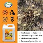 JOVS Ready-to-Use 5L Fast-Acting Weed Killer