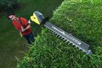 Ryobi 18V Cordless Pole Hedge Trimmer 45cm