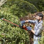 BLACK+DECKER 600W Electric Hedge Trimmer with Steel Blades