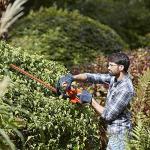BLACK + DECKER 240V Hedge Trimmer, 45 cm