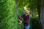 Ryobi 18V ONE+ Cordless 55cm Hedge Trimmer