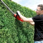 Einhell 45cm Electric Hedge Trimmer - Lightweight & Powerful