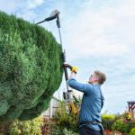 Cordless Telescopic Hedge Trimmer with Dual Action Blades