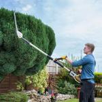 Cordless Telescopic Hedge Trimmer with Dual Action Blades