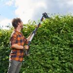 WORX 20V Cordless Pole Hedge Trimmer 45cm