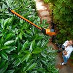 WORX 20V Cordless Pole Hedge Trimmer, 45cm