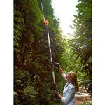 WORX 20V Cordless Pole Hedge Trimmer, 45cm