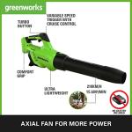 Greenworks Cordless Leaf Blower with Turbo Function