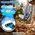 Cordless Leaf Blower with Turbo Boost and Battery
