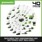 Greenworks Cordless Leaf Blower with Turbo Function