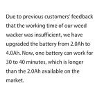 48V Cordless Electric Weed Wacker and Edger