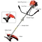 Cordless 2-in-1 Gas Weed Wacker & Trimmer
