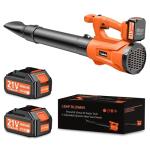 Cordless Leaf Blower with Dual Battery and Charger