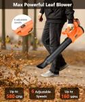 Cordless Leaf Blower with Dual Battery and Charger