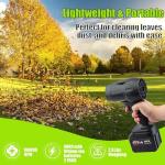 Cordless Handheld Leaf Blower with Batteries