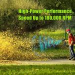 Cordless Handheld Leaf Blower with Batteries