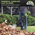 Cordless Leaf Blower with 2 Batteries