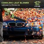 Cordless Leaf Blower with 2 Batteries