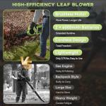 Cordless Leaf Blower with 2 Batteries