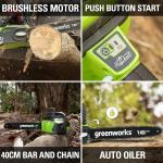 Greenworks 16" Cordless Chainsaw with Battery & Charger