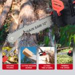 12-Inch Cordless Chainsaw with 2 Batteries