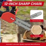 12-Inch Cordless Chainsaw with 2 Batteries