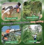 Cordless 2-in-1 Pole Saw and Chainsaw Combo