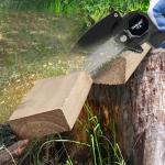 Mini Cordless Electric Chainsaw with 2 Batteries