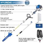 Hyundai 52cc Long Reach Pole Saw Pruner