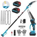 Cordless 2-in-1 Long Reach Pole Chainsaw