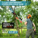 Cordless 2-in-1 Pole Chainsaw with Batteries