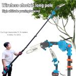 Cordless 2-in-1 Pole Chainsaw with Batteries