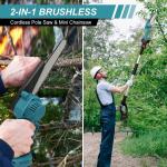 Cordless 2-in-1 Pole Chainsaw with Batteries