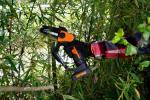 WORX Cordless 20V Pruning Saw with Battery