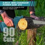 Cordless 2-in-1 Pole Chainsaw with Batteries