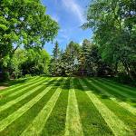 Lawn Stryper: Striping System for Honda Mowers