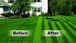 Lawn Stryper: Striping System for Honda Mowers