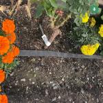 Agro Exudation Roll 100 m Irrigation Hose