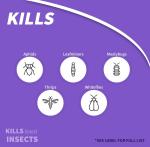 Bonide Systemic Insect Control for House Plants