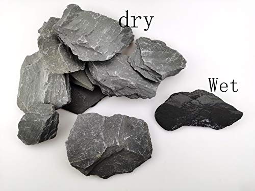 Natural Slate Rocks for Aquariums, Landscaping, Amphibian Enclosures