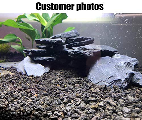 Natural Slate Rocks for Aquariums, Landscaping, Amphibian Enclosures