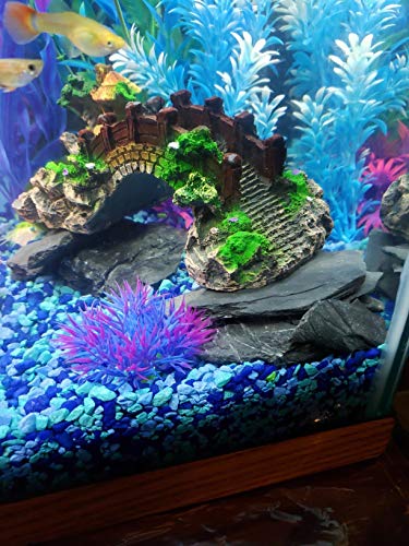 Natural Slate Rocks for Aquariums, Landscaping, Amphibian Enclosures