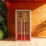 Dharani S1 Indoor Infrared Sauna for One