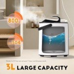Portable 3L Steam Sauna with Remote Control