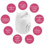Portable 1.5L Sauna Steamer Kit for Home Spa
