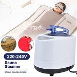 BigKing 2.68L Portable Sauna Steamer Machine