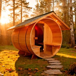 Insignia UK Hybrid Traditional Infrared Sauna