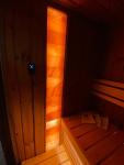Luxury Finnish Sauna Cabin with Black Glass and LED
